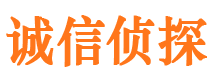 平顶山外遇出轨调查取证